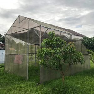Green House
